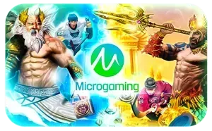 Microgaming by bonus24hr